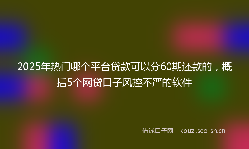 2025年热门哪个平台贷款可以分60期还款的，概括5个网贷口子风控不严的软件