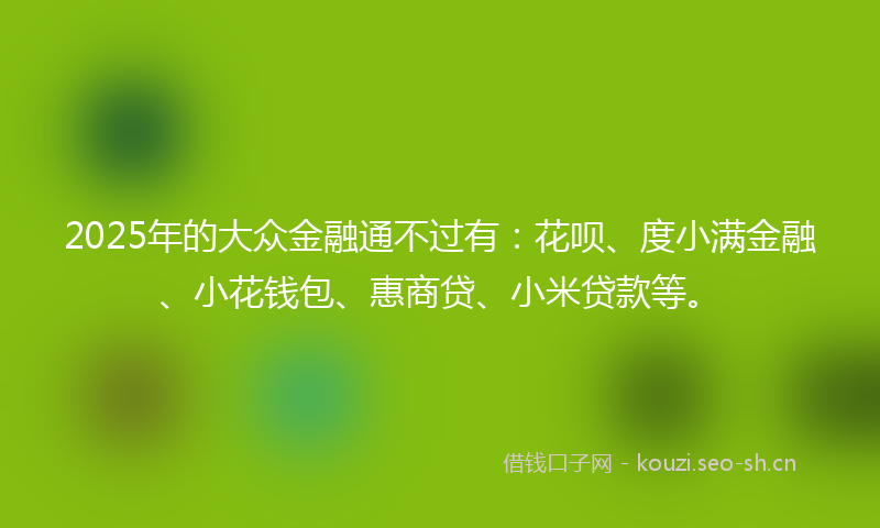 2025年的大众金融通不过有：花呗、度小满金融、小花钱包、惠商贷、小米贷款等。
