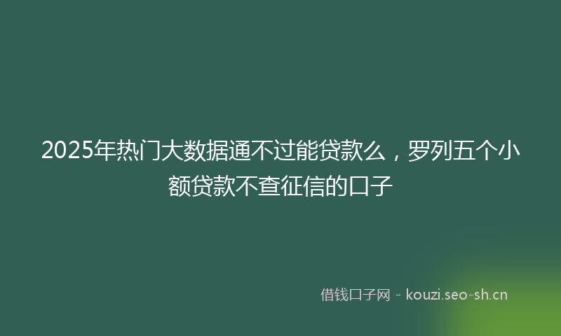 2025年热门大数据通不过能贷款么，罗列五个小额贷款不查征信的口子