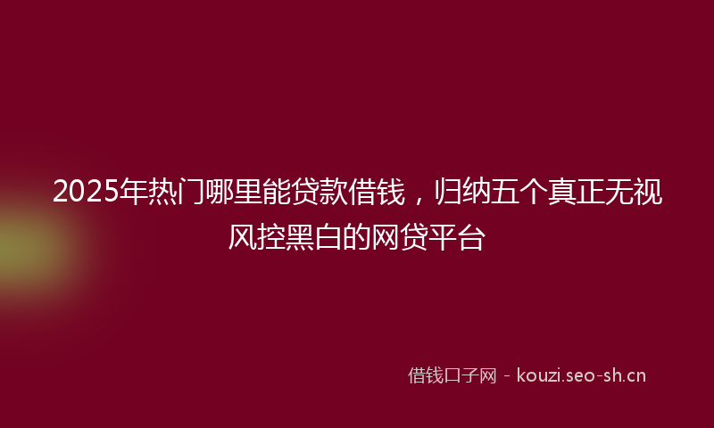 2025年热门哪里能贷款借钱，归纳五个真正无视风控黑白的网贷平台