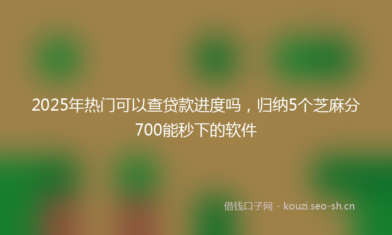 2025年热门可以查贷款进度吗，归纳5个芝麻分700能秒下的软件