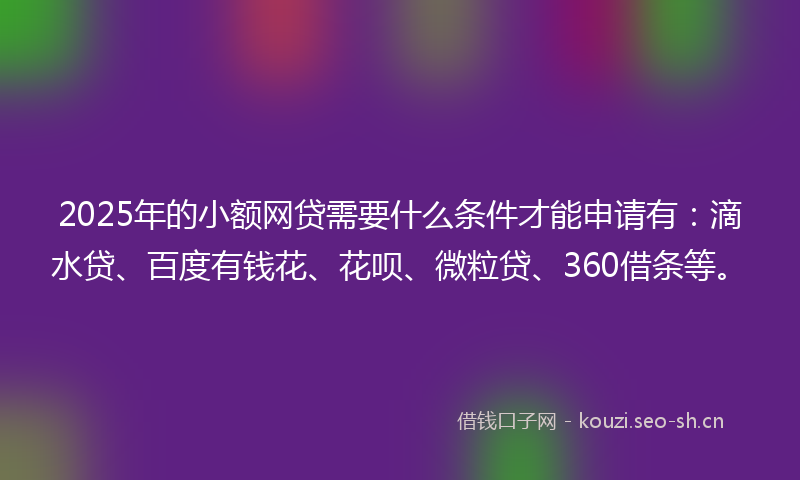 2025年的小额网贷需要什么条件才能申请有：滴水贷、百度有钱花、花呗、微粒贷、360借条等。