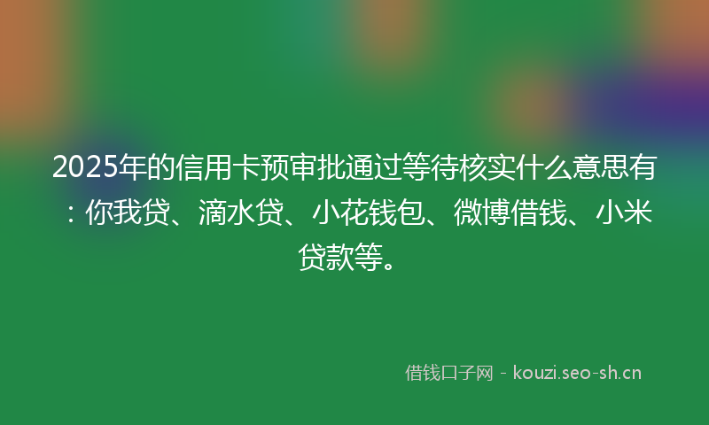 2025年的信用卡预审批通过等待核实什么意思有：你我贷、滴水贷、小花钱包、微博借钱、小米贷款等。