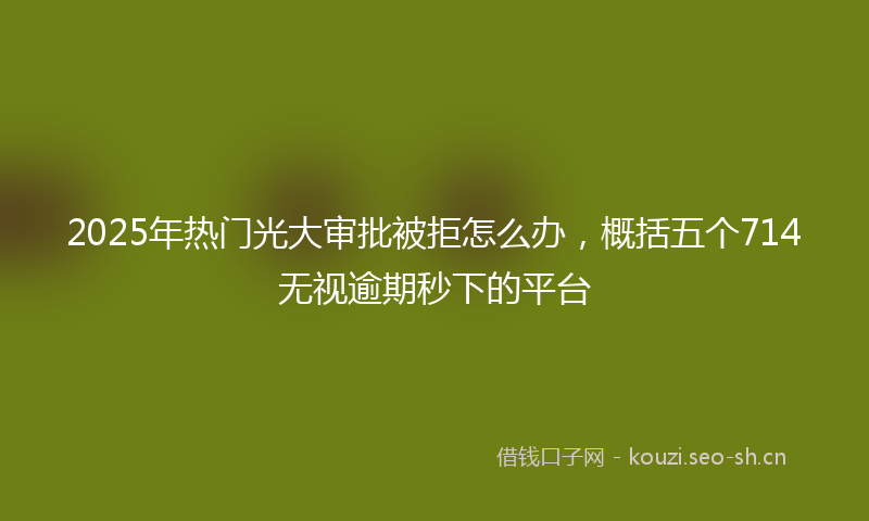 2025年热门光大审批被拒怎么办，概括五个714无视逾期秒下的平台
