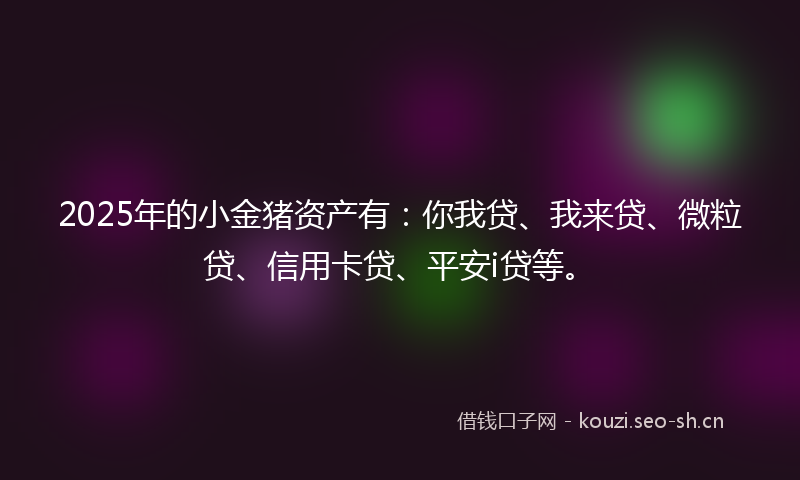2025年的小金猪资产有：你我贷、我来贷、微粒贷、信用卡贷、平安i贷等。