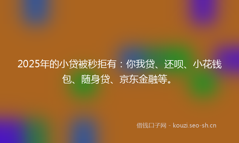 2025年的小贷被秒拒有：你我贷、还呗、小花钱包、随身贷、京东金融等。