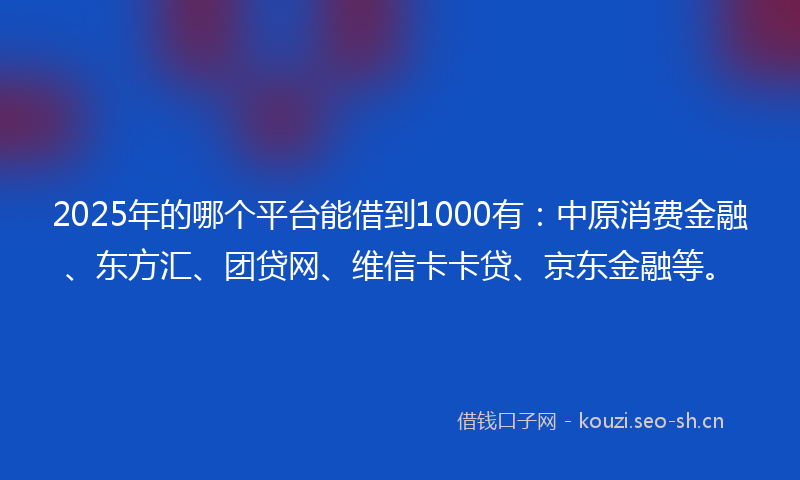 2025年的哪个平台能借到1000有：中原消费金融、东方汇、团贷网、维信卡卡贷、京东金融等。