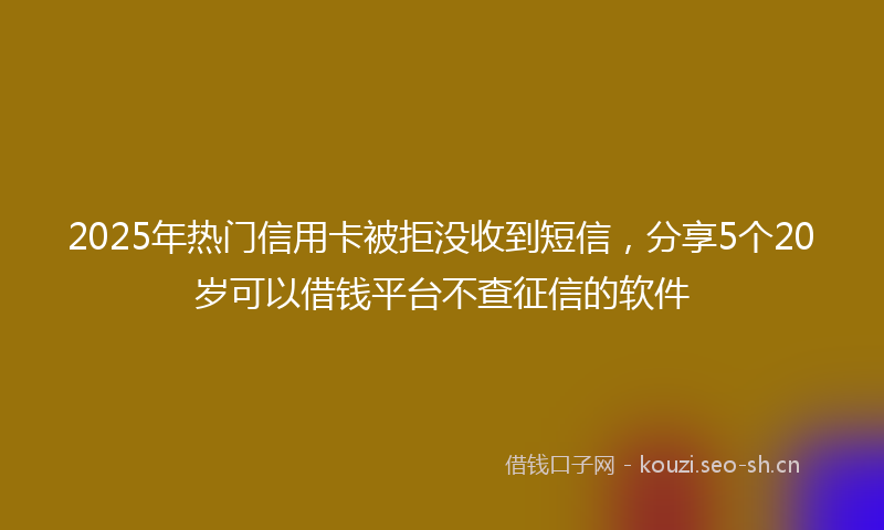 2025年热门信用卡被拒没收到短信，分享5个20岁可以借钱平台不查征信的软件