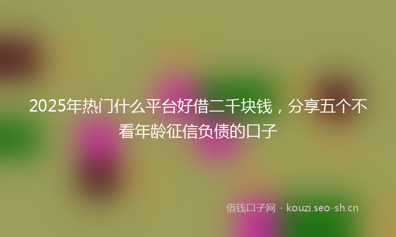 2025年热门什么平台好借二千块钱，分享五个不看年龄征信负债的口子