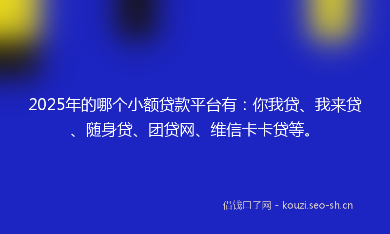 2025年的哪个小额贷款平台有：你我贷、我来贷、随身贷、团贷网、维信卡卡贷等。