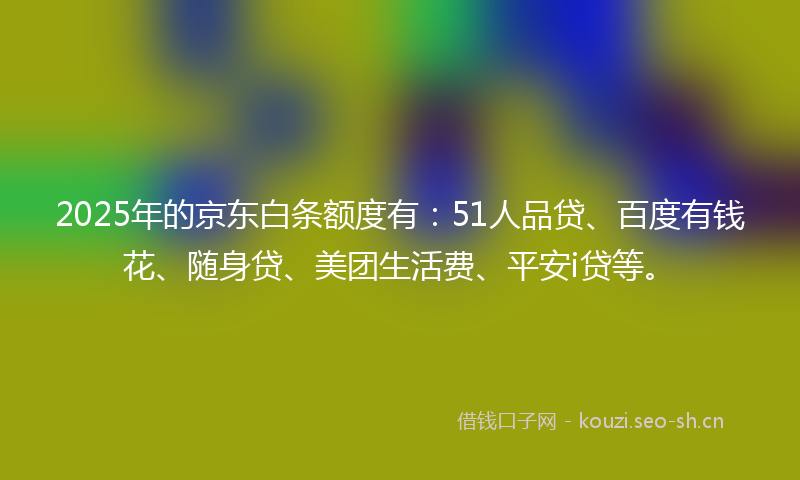 2025年的京东白条额度有：51人品贷、百度有钱花、随身贷、美团生活费、平安i贷等。