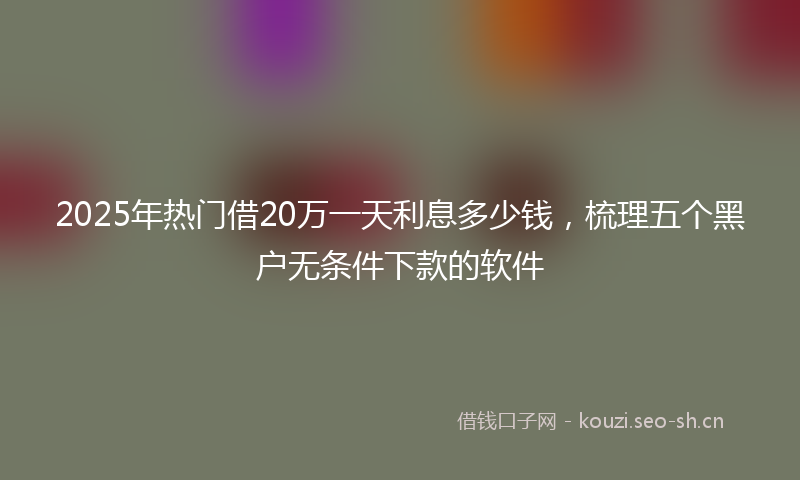 2025年热门借20万一天利息多少钱，梳理五个黑户无条件下款的软件
