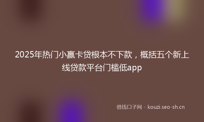 2025年热门小赢卡贷根本不下款，概括五个新上线贷款平台门槛低app