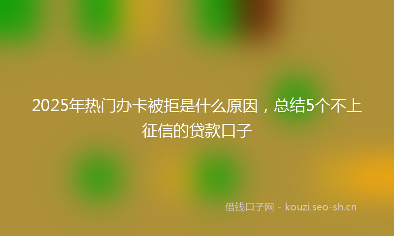 2025年热门办卡被拒是什么原因,总结5个不上征信的贷款口子