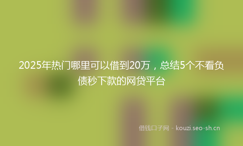 2025年热门哪里可以借到20万，总结5个不看负债秒下款的网贷平台