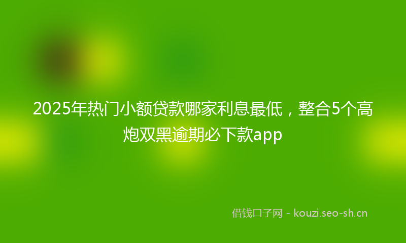 2025年热门小额贷款哪家利息最低，整合5个高炮双黑逾期必下款app
