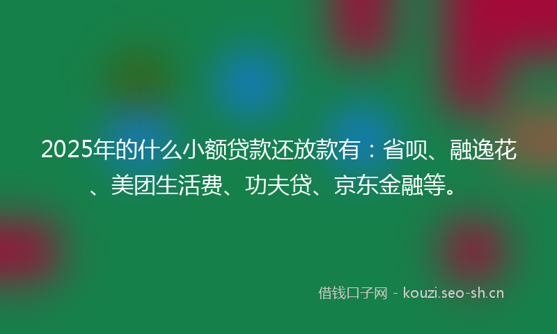 2025年的什么小额贷款还放款有：省呗、融逸花、美团生活费、功夫贷、京东金融等。