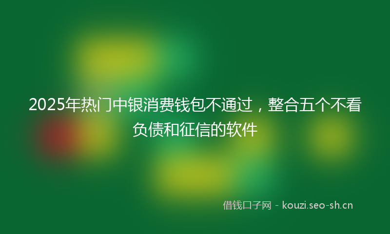 2025年热门中银消费钱包不通过，整合五个不看负债和征信的软件