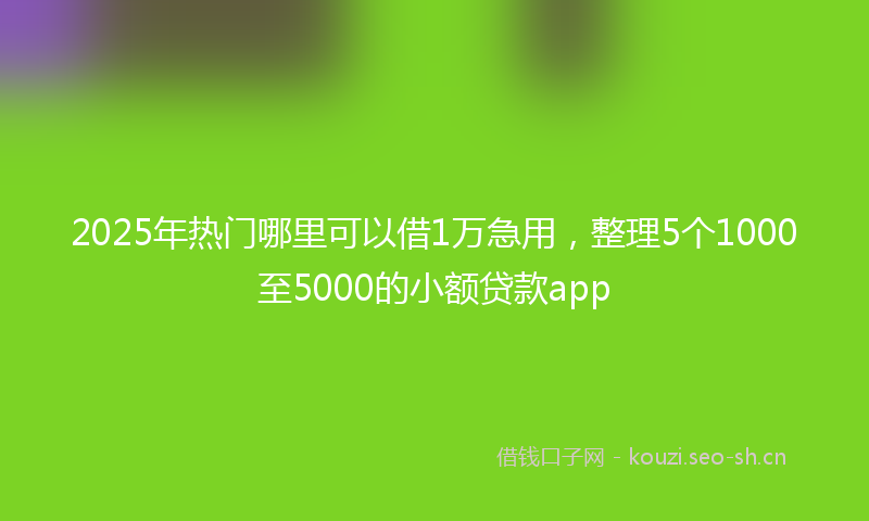2025年热门哪里可以借1万急用，整理5个1000至5000的小额贷款app