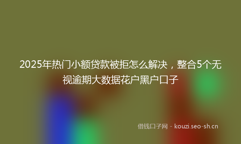 2025年热门小额贷款被拒怎么解决，整合5个无视逾期大数据花户黑户口子