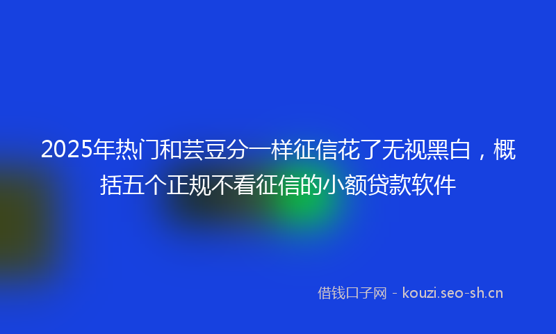 2025年热门和芸豆分一样征信花了无视黑白，概括五个正规不看征信的小额贷款软件