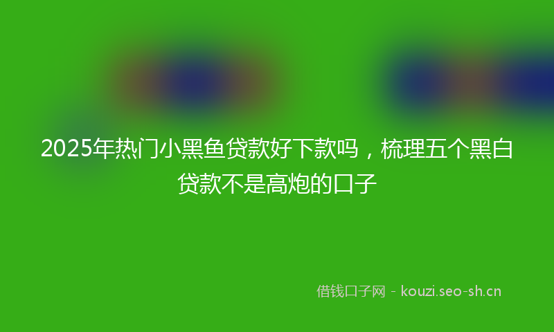 2025年热门小黑鱼贷款好下款吗，梳理五个黑白贷款不是高炮的口子