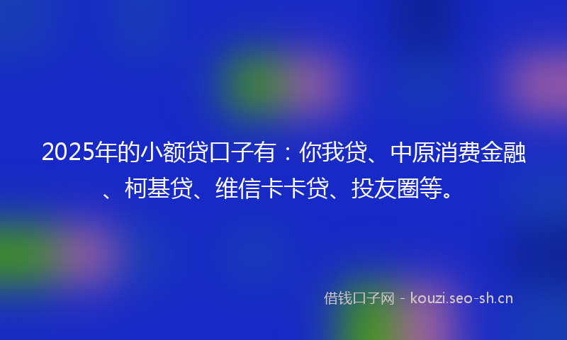 2025年的小额贷口子有：你我贷、中原消费金融、柯基贷、维信卡卡贷、投友圈等。