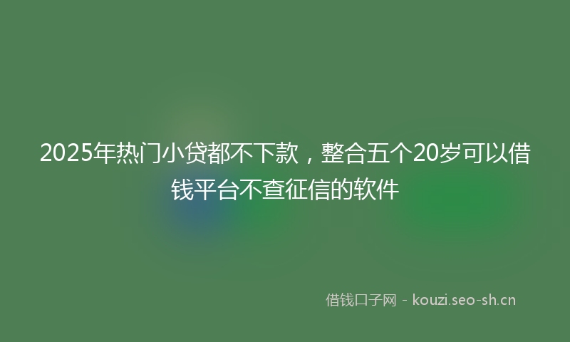 2025年热门小贷都不下款，整合五个20岁可以借钱平台不查征信的软件