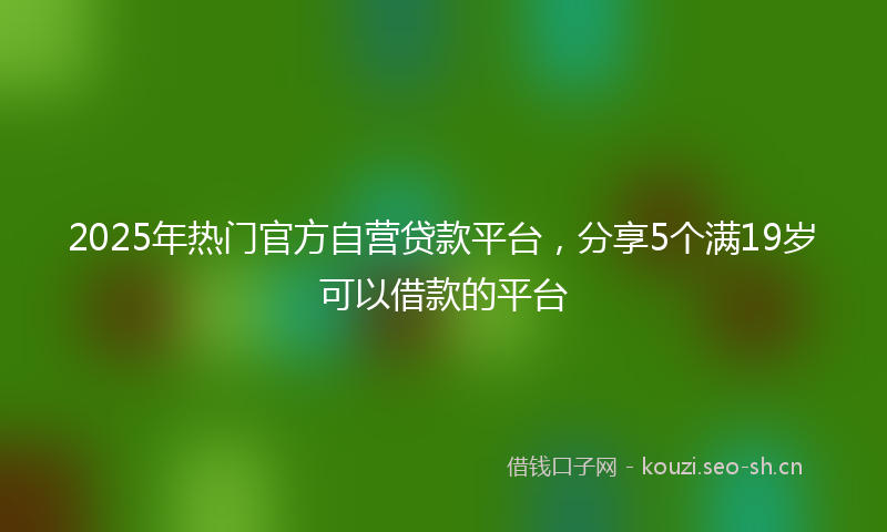 2025年热门官方自营贷款平台，分享5个满19岁可以借款的平台