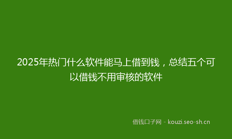 2025年热门什么软件能马上借到钱，总结五个可以借钱不用审核的软件