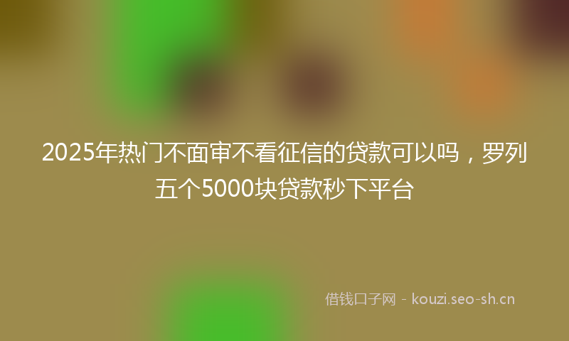 2025年热门不面审不看征信的贷款可以吗，罗列五个5000块贷款秒下平台