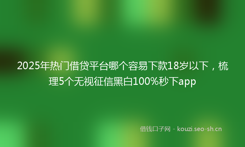 2025年热门借贷平台哪个容易下款18岁以下，梳理5个无视征信黑白100%秒下app