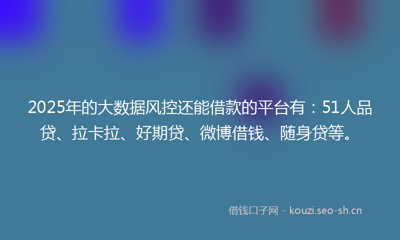 2025年的大数据风控还能借款的平台有：51人品贷、拉卡拉、好期贷、微博借钱、随身贷等。