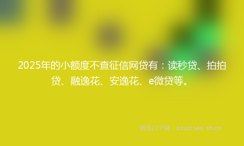 2025年的小额度不查征信网贷有：读秒贷、拍拍贷、融逸花、安逸花、e微贷等。