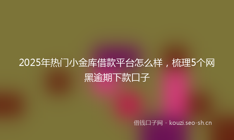 2025年热门小金库借款平台怎么样，梳理5个网黑逾期下款口子