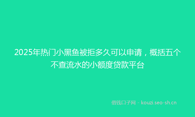 2025年热门小黑鱼被拒多久可以申请，概括五个不查流水的小额度贷款平台