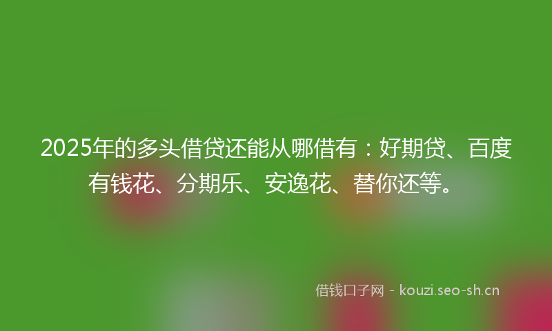 2025年的多头借贷还能从哪借有:好期贷、百度有钱花、分期乐、安逸花、替你还等。