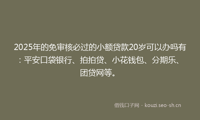 2025年的免审核必过的小额贷款20岁可以办吗有：平安口袋银行、拍拍贷、小花钱包、分期乐、团贷网等。