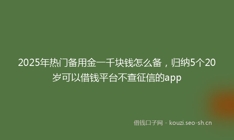 2025年热门备用金一千块钱怎么备，归纳5个20岁可以借钱平台不查征信的app