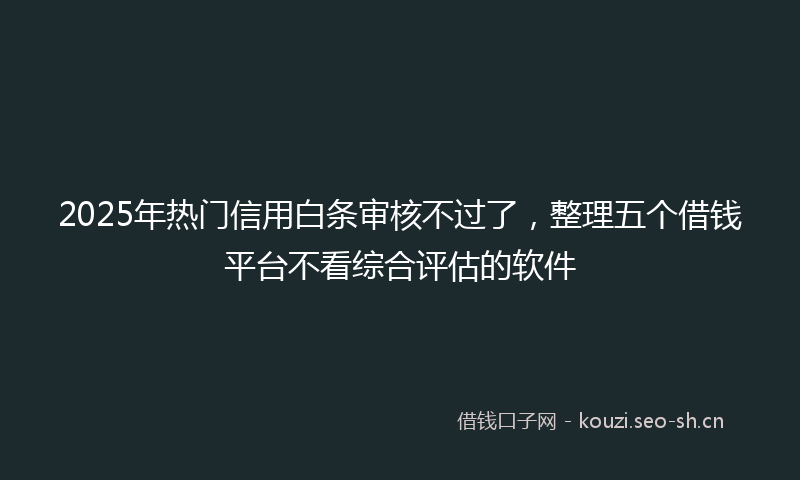 2025年热门信用白条审核不过了，整理五个借钱平台不看综合评估的软件