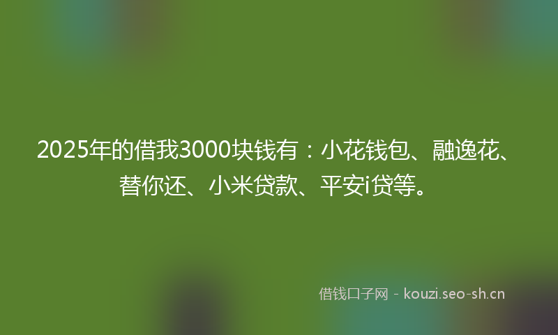 2025年的借我3000块钱有：小花钱包、融逸花、替你还、小米贷款、平安i贷等。