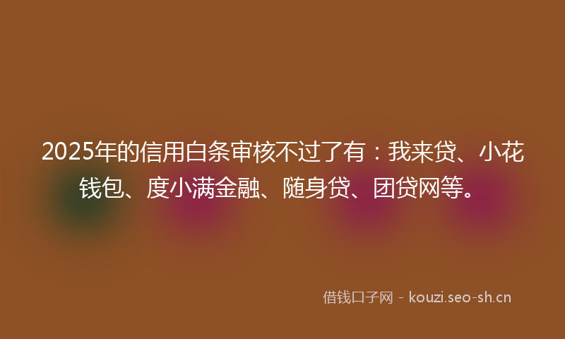 2025年的信用白条审核不过了有：我来贷、小花钱包、度小满金融、随身贷、团贷网等。