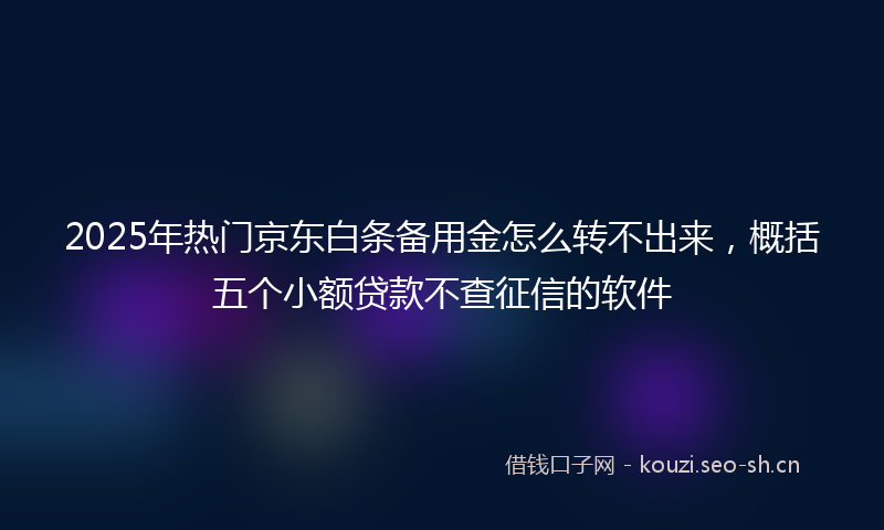 2025年热门京东白条备用金怎么转不出来，概括五个小额贷款不查征信的软件