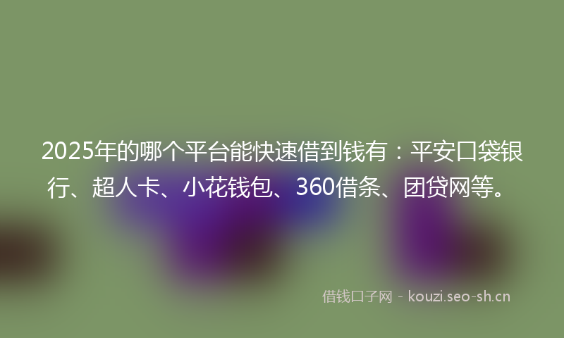 2025年的哪个平台能快速借到钱有：平安口袋银行、超人卡、小花钱包、360借条、团贷网等。