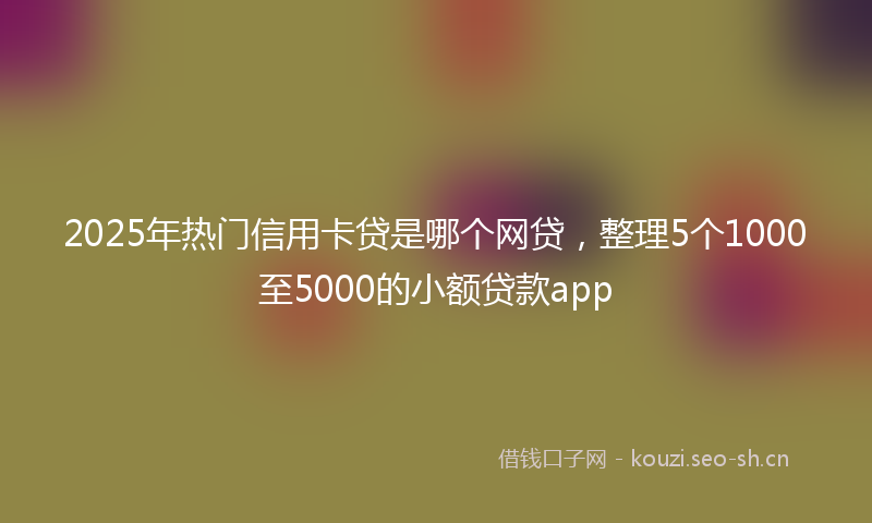 2025年热门信用卡贷是哪个网贷，整理5个1000至5000的小额贷款app