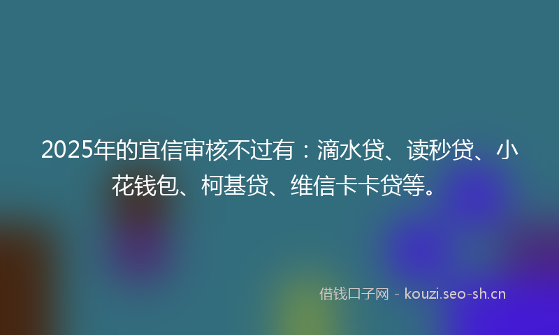 2025年的宜信审核不过有：滴水贷、读秒贷、小花钱包、柯基贷、维信卡卡贷等。