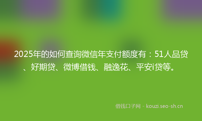2025年的如何查询微信年支付额度有:51人品贷、好期贷、微博借钱、融逸花、平安i贷等。