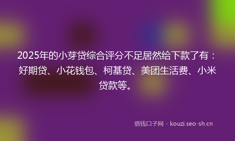 2025年的小芽贷综合评分不足居然给下款了有：好期贷、小花钱包、柯基贷、美团生活费、小米贷款等。