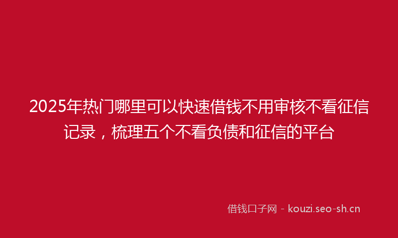 2025年热门哪里可以快速借钱不用审核不看征信记录，梳理五个不看负债和征信的平台