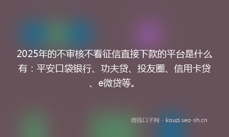 2025年的不审核不看征信直接下款的平台是什么有：平安口袋银行、功夫贷、投友圈、信用卡贷、e微贷等。